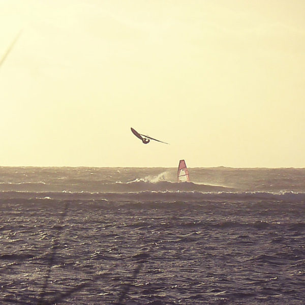 Team-rider-Flikka-boards